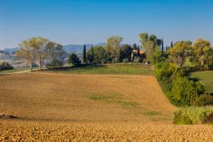 Holiday agriturismo with a private swimming pool in Tucany, Italy 10