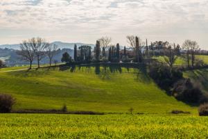Holiday agriturismo with a private swimming pool in Tucany, Italy 3