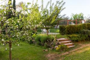 Holiday agriturismo with a private swimming pool in Tucany, Italy 8