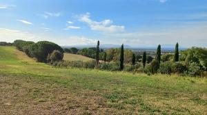 Afbeelding van WhatsApp op 2025-11-11 om 09.22.22 3f8a7502