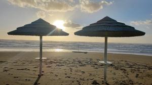 Afbeelding van WhatsApp op 2025-11-11 om 09.22.22 70c0e204