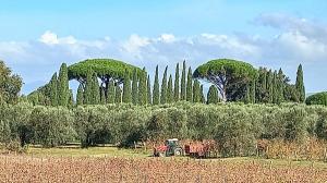 Afbeelding van WhatsApp op 2025-11-11 om 09.22.22 b0a992b9