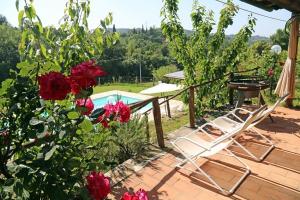 IMG 5261-min-768x512