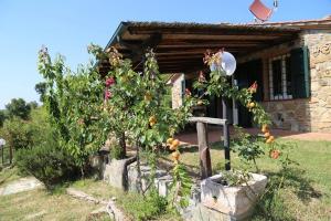 IMG 5263-min-768x512