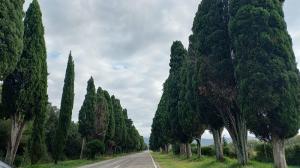 Afbeelding van WhatsApp op 2025-11-11 om 09.22.22 bbdf821b